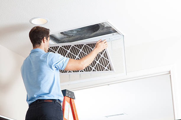 Best Solar-powered HVAC Systems in Pigeon, MI